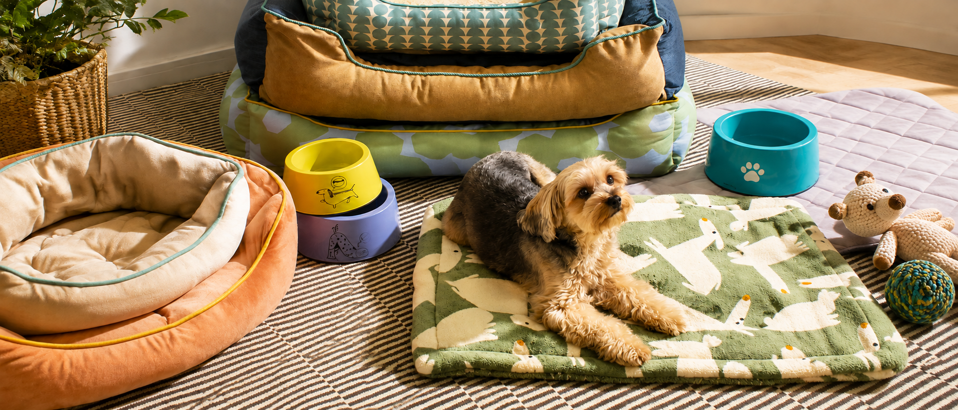 Thoughtful pet essentials for everyday life